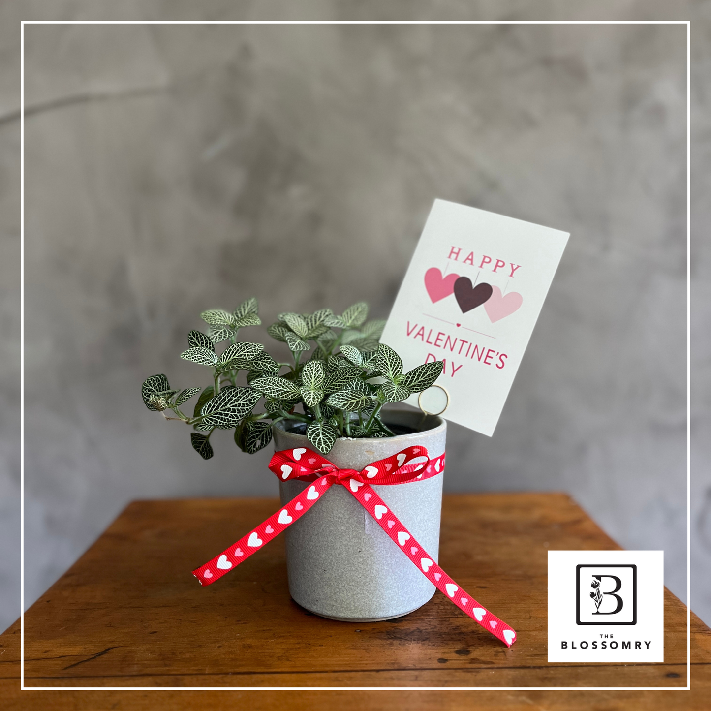 Rooted in Love | Small indoor plant with card
