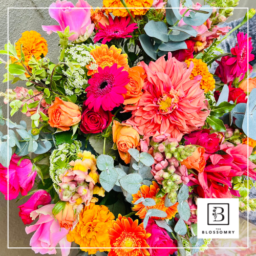 Blossoms of the week