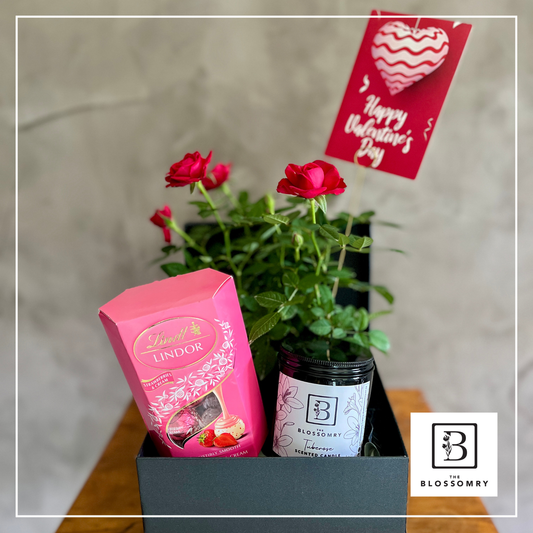 Love In Bloom Hamper