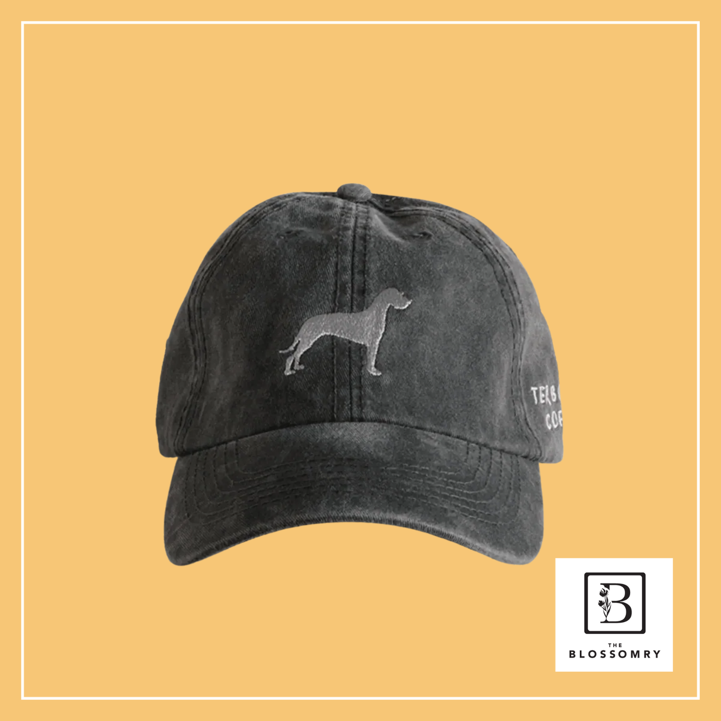 Terbodore Coffee Roasters Cap