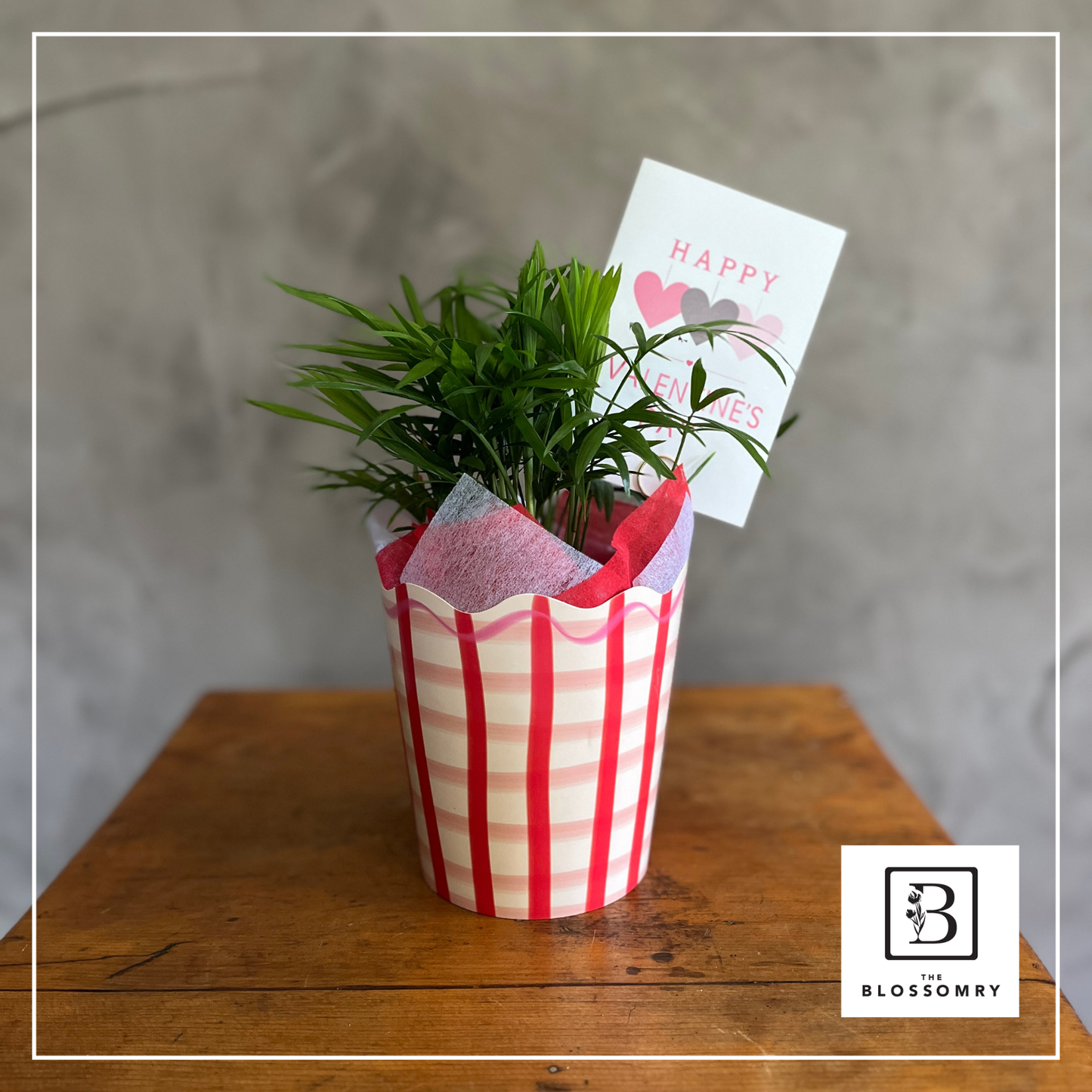 Love Grows Here | Plant with card