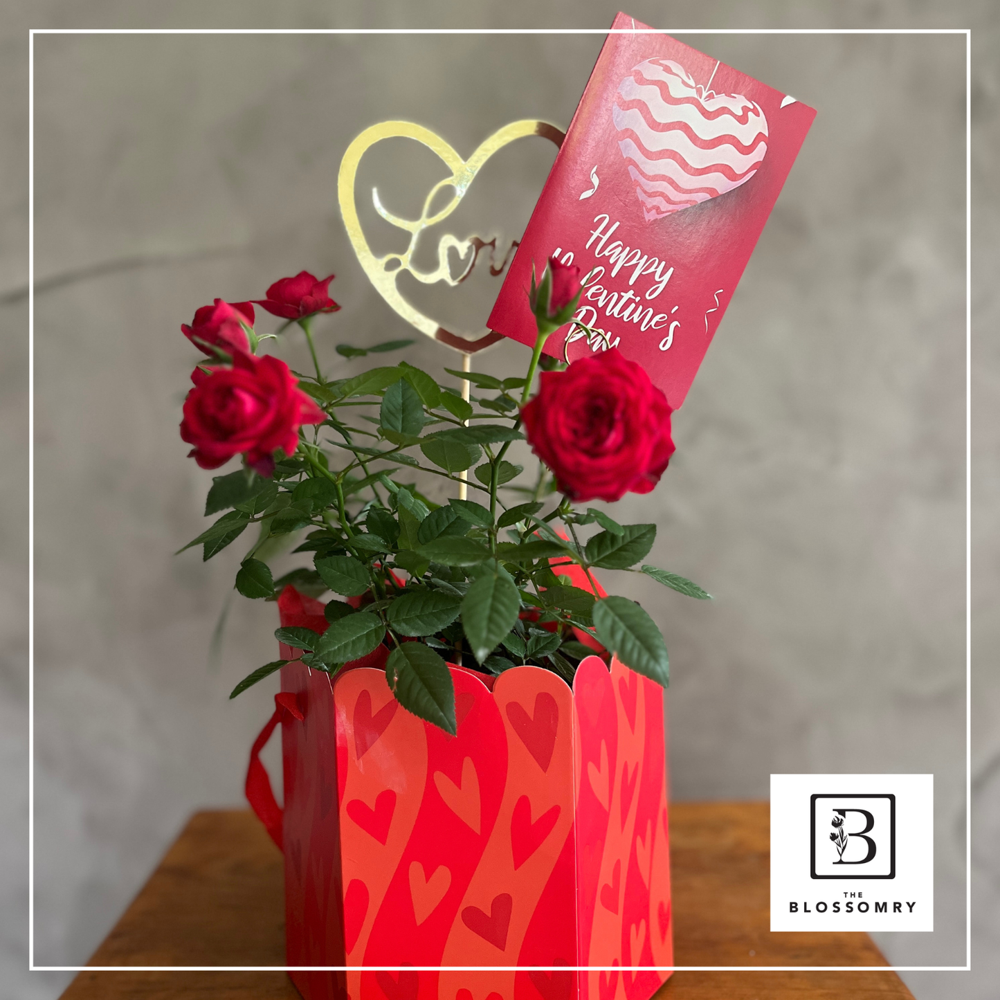 Little Love Rose | Plant with card