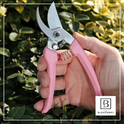 Precision Garden Shears