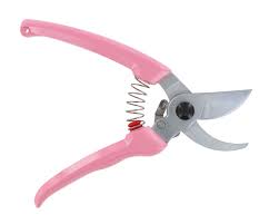 Pruning Sheers