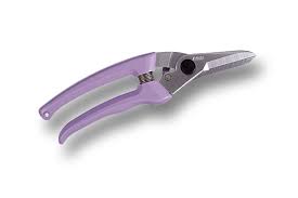 Pruning Sheers